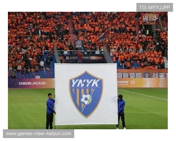 云南玉昆成功引援,巴乙球员与国脚加盟保级阵容 云南玉昆成功引援,巴乙球员与国脚加盟保级阵容